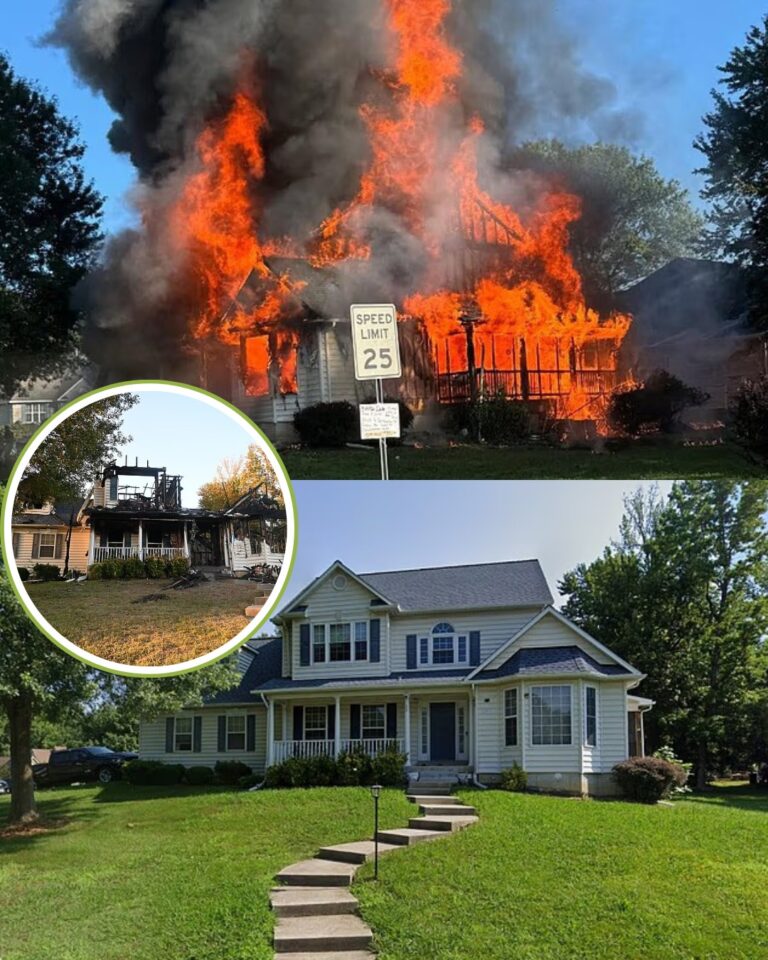 A Perfect Neighborhood Shattered by Tragedy!
