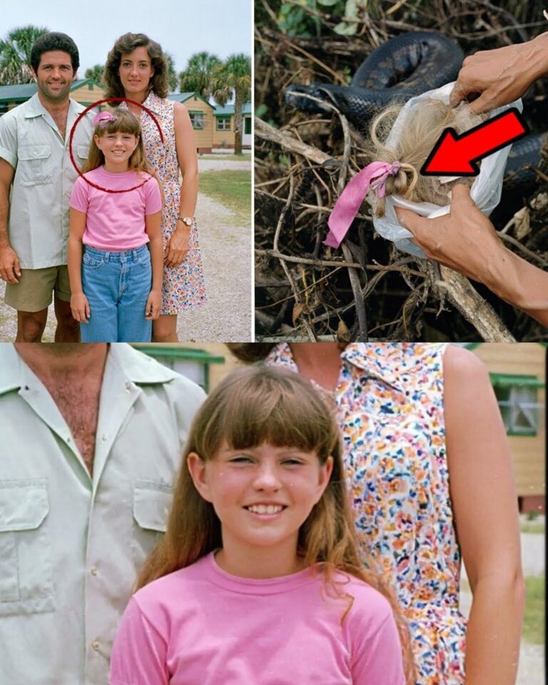A Chilling Discovery in the Everglades!