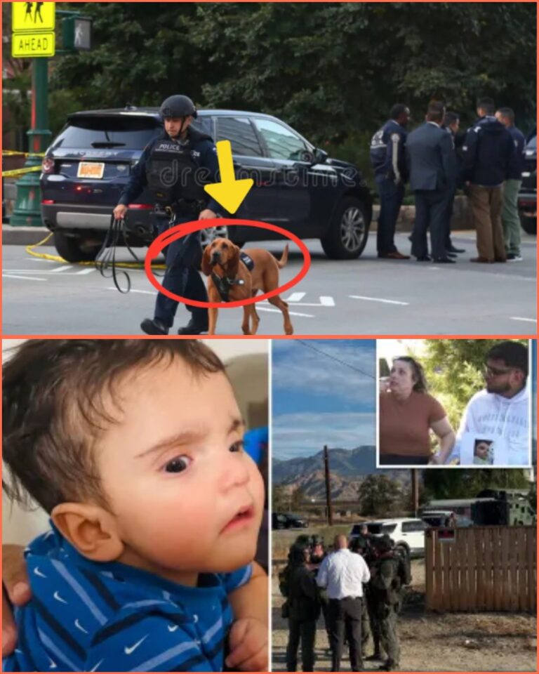 A Shocking Find in a Deserted Lot: The Ongoing Mystery of Emmanuel Haro’s Disappearance