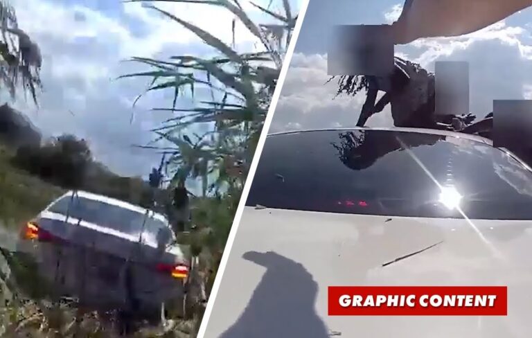 Against the Odds: Texas Police and a Veteran Save a Family of Five from a Sinking Car