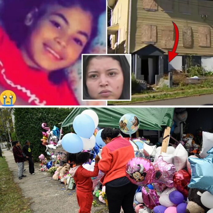 575093519_122196941648350156_2540477772632387323_n