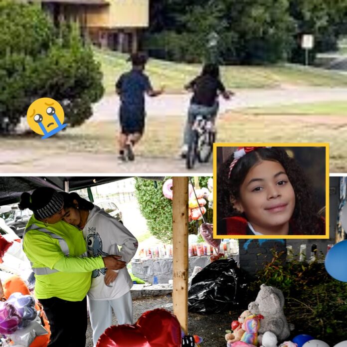 577895559_122197228382350156_8682473769149894175_n